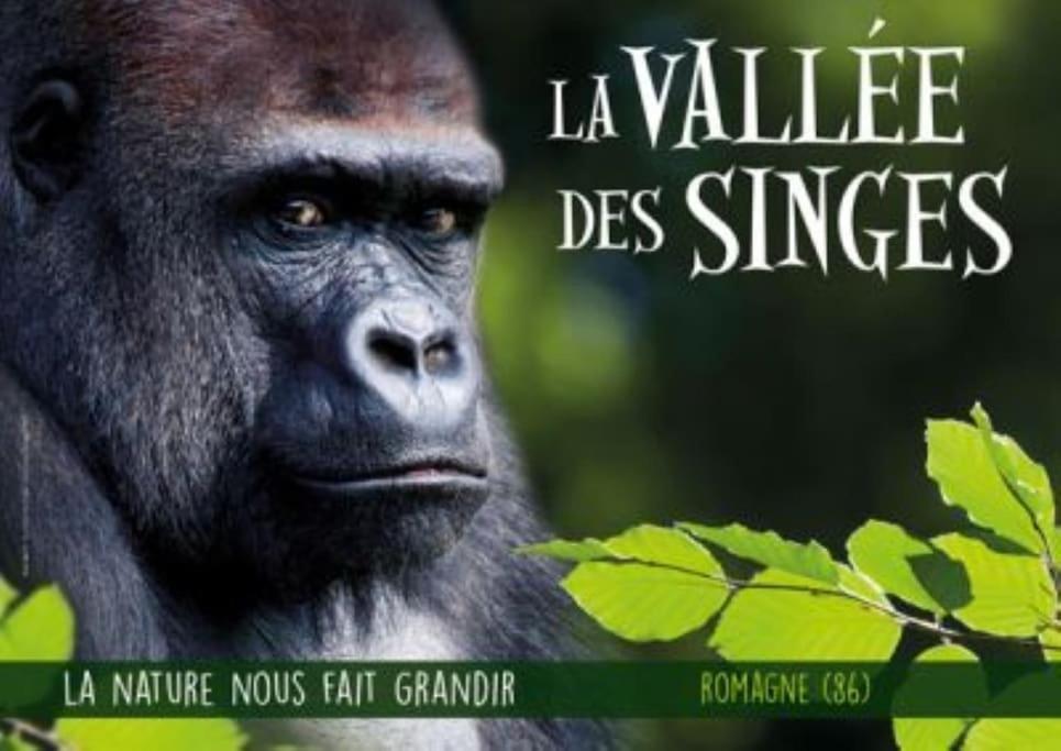 Gite Bin Benaise Draps Et Serviettes Compris Pamproux Esterno foto